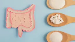 Prebiotics vs Probiotics for Immunity: Boosting Your Body’s Defenses from the Gut